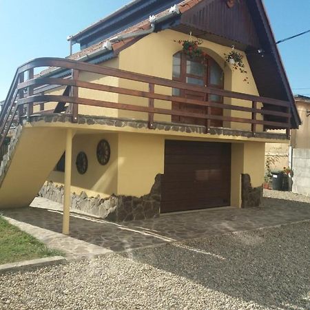 Casa Vlasea Albesti Sighisoara Bed & Breakfast エクステリア 写真