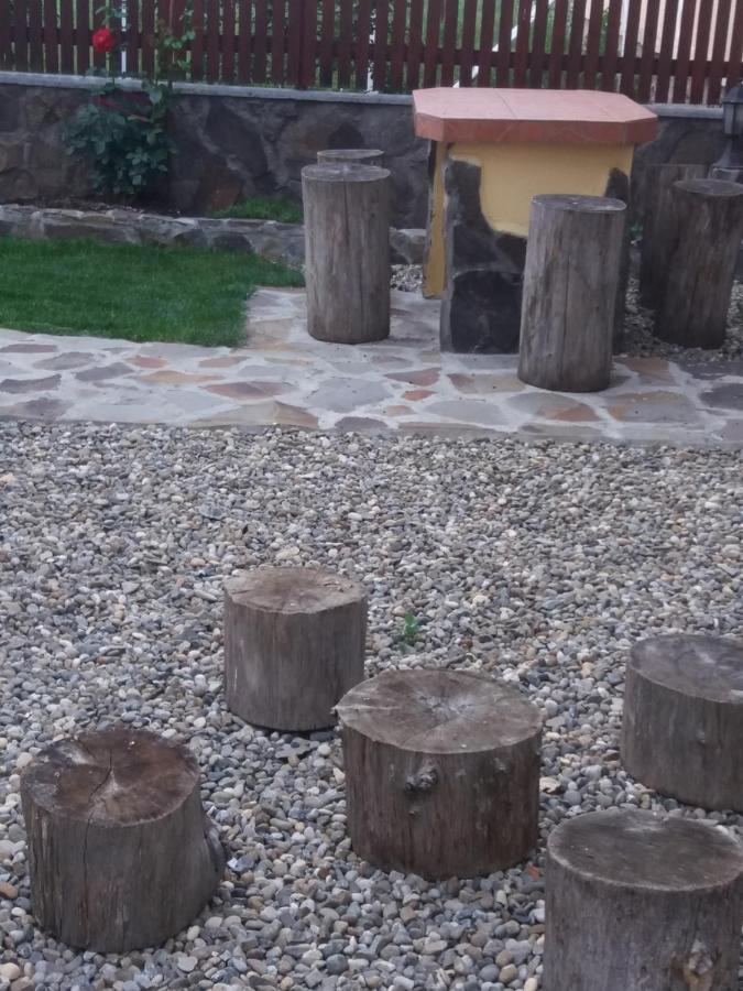 Casa Vlasea Albesti Sighisoara Bed & Breakfast エクステリア 写真