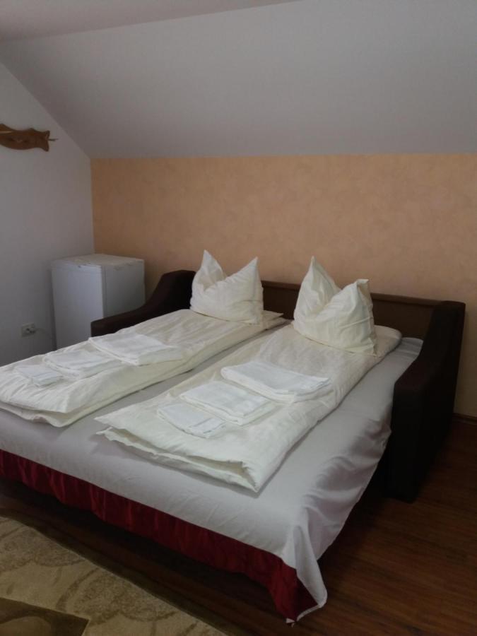 Casa Vlasea Albesti Sighisoara Bed & Breakfast エクステリア 写真
