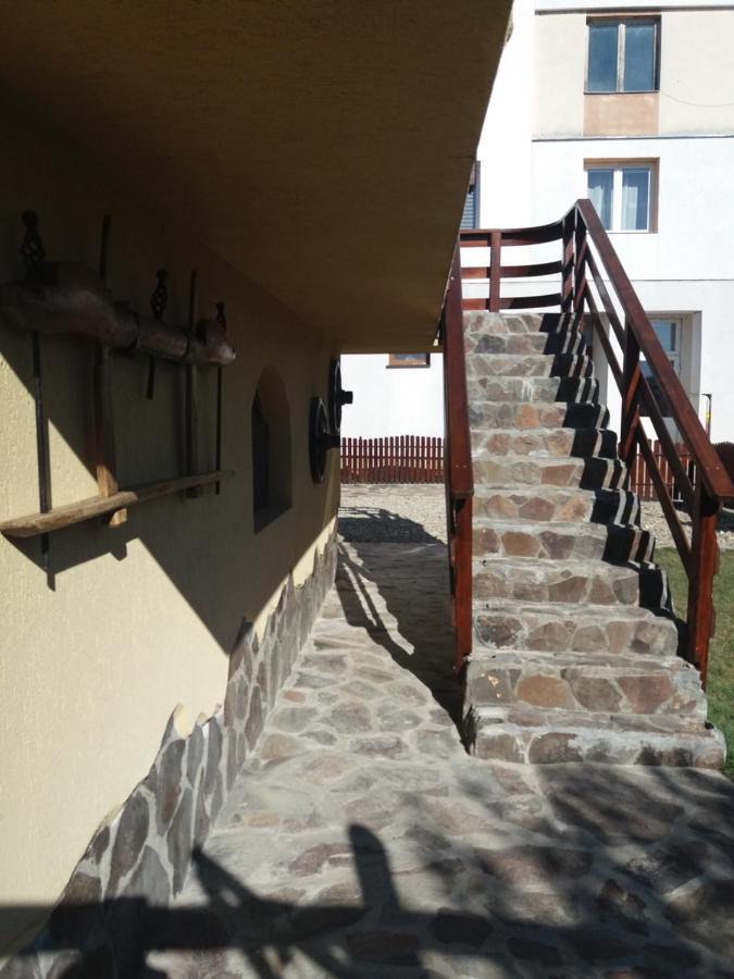 Casa Vlasea Albesti Sighisoara Bed & Breakfast エクステリア 写真