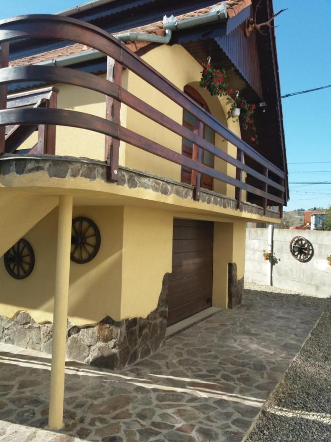 Casa Vlasea Albesti Sighisoara Bed & Breakfast エクステリア 写真