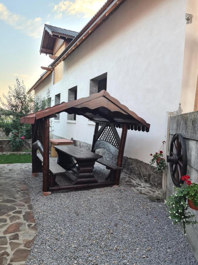 Casa Vlasea Albesti Sighisoara Bed & Breakfast エクステリア 写真